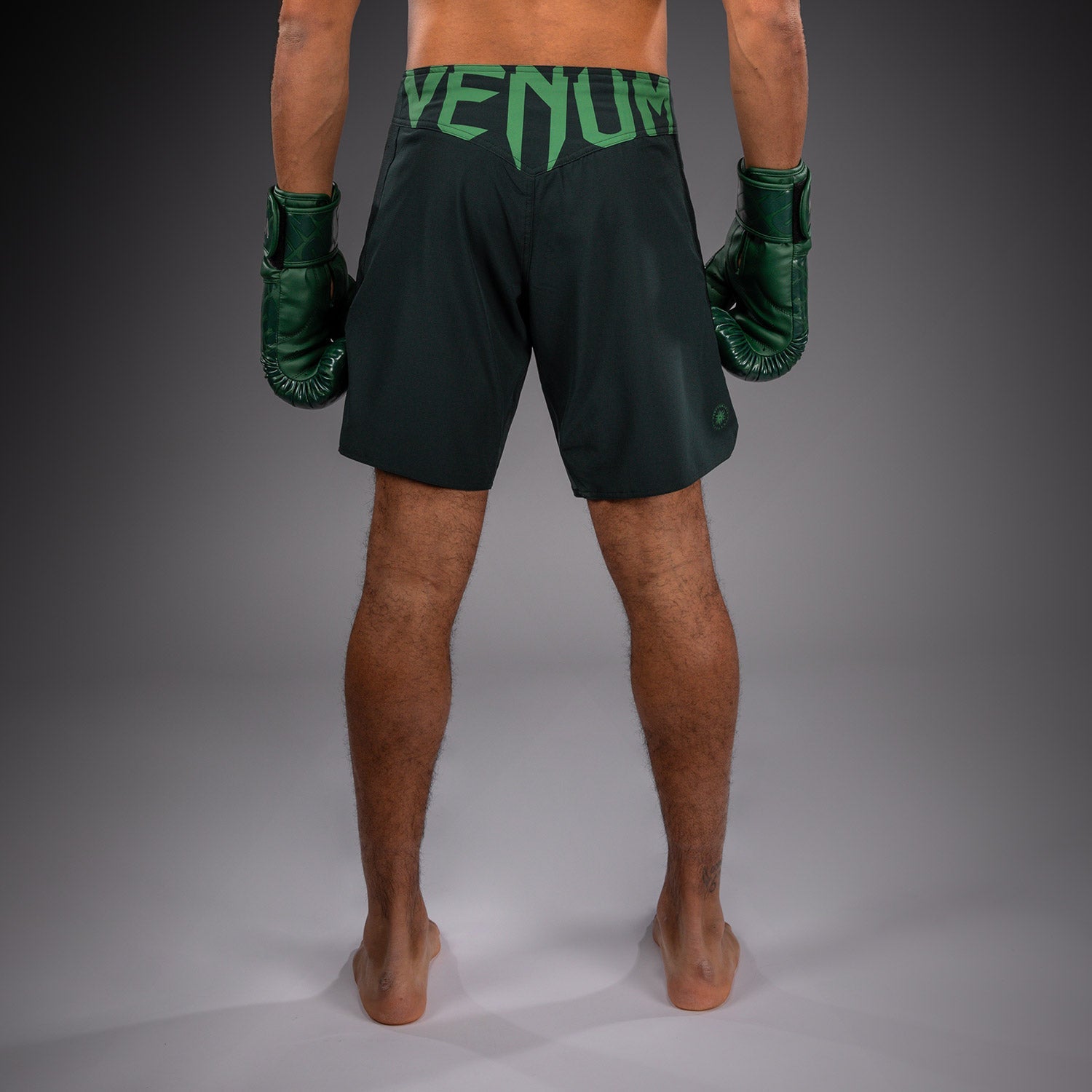 Venum Light 5.0 Fight Shorts