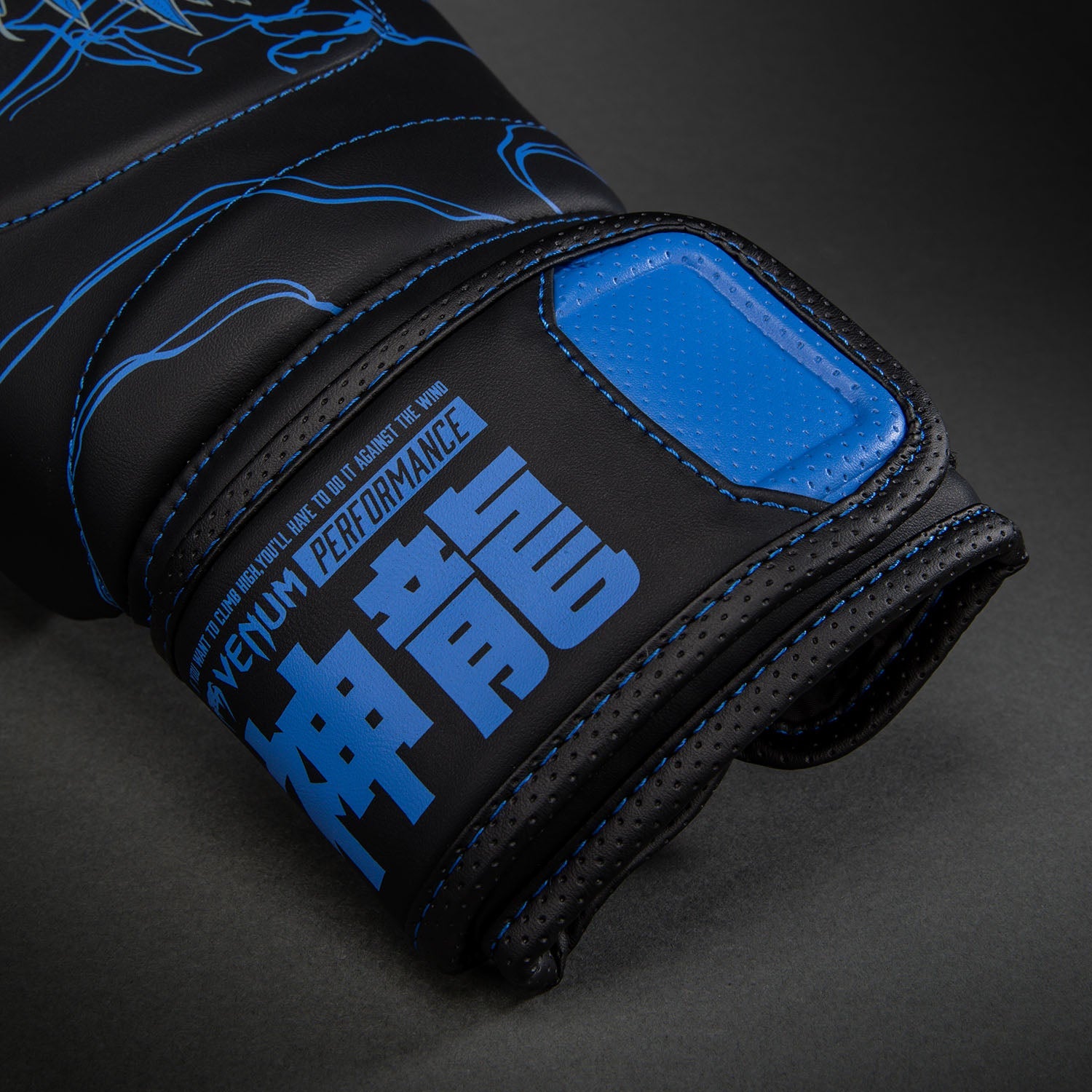 Venum Thunder Dragon Boxing Gloves