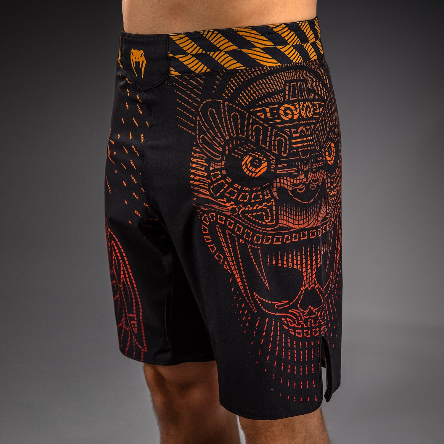 Venum Quetzal Fury Fightshorts