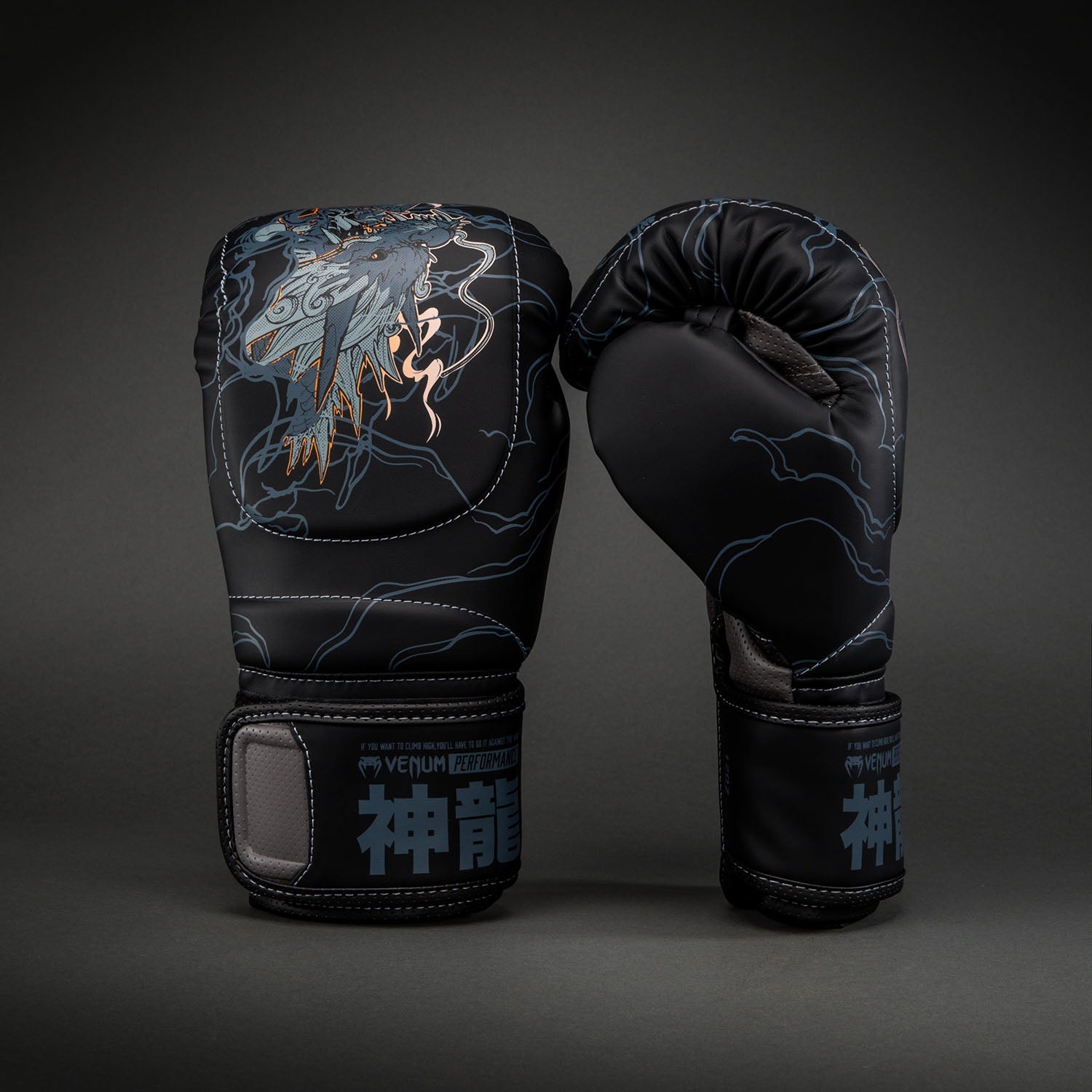 Venum Thunder Dragon Boxing Gloves