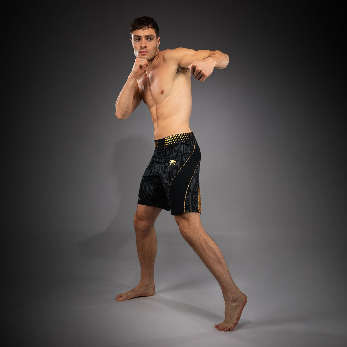 Men's UFC Zenith by Venum Champion Authentic Fight Night Long Fit Fight Short  product-type_MMA Shorts Venum