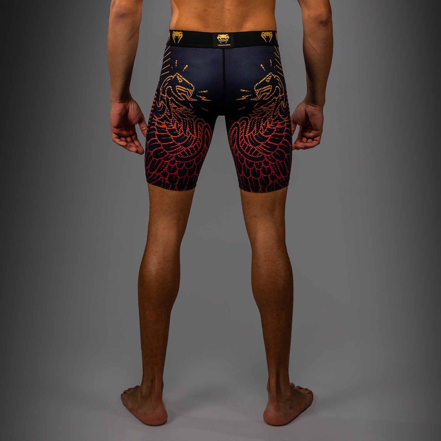 Venum Quetzal Fury Vale Tudo