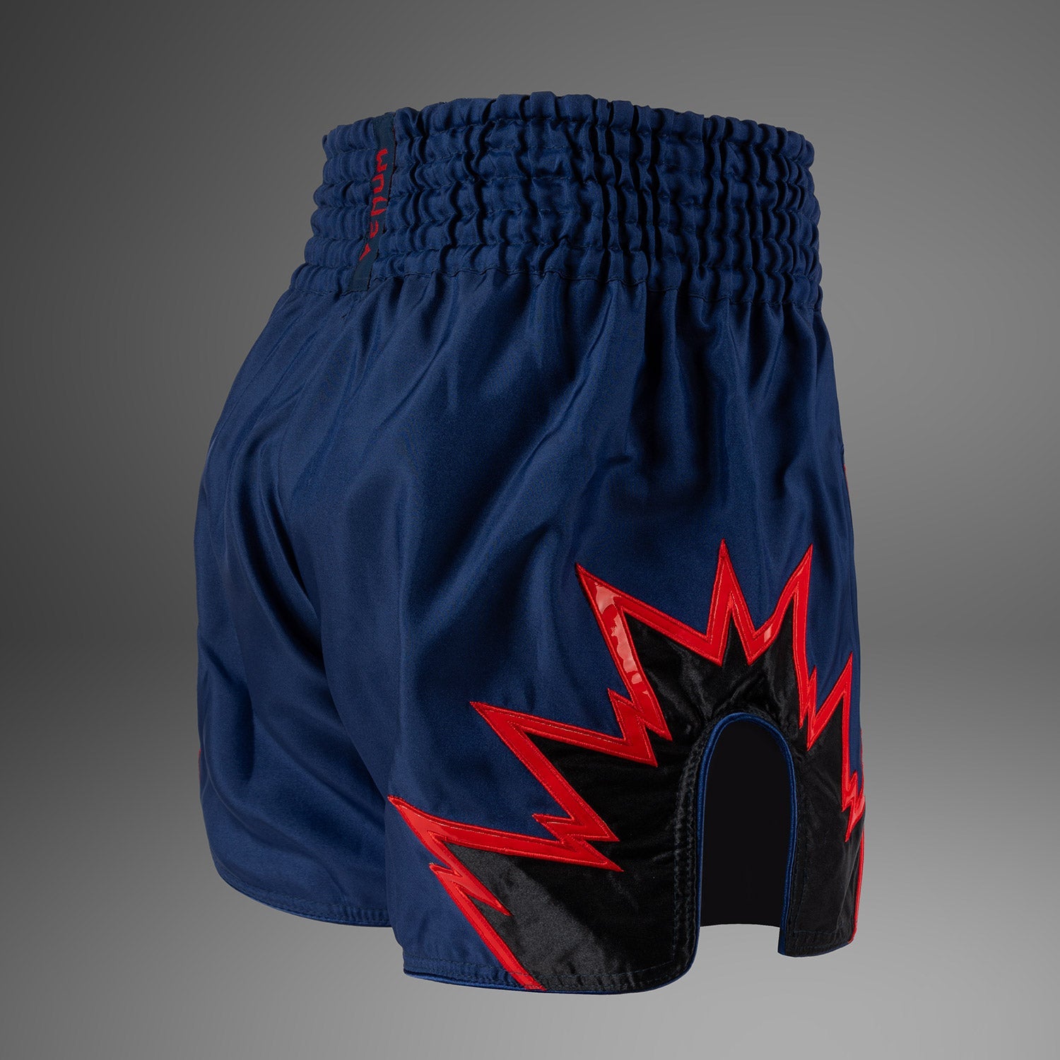 Venum Inferno Muay Thai Shorts