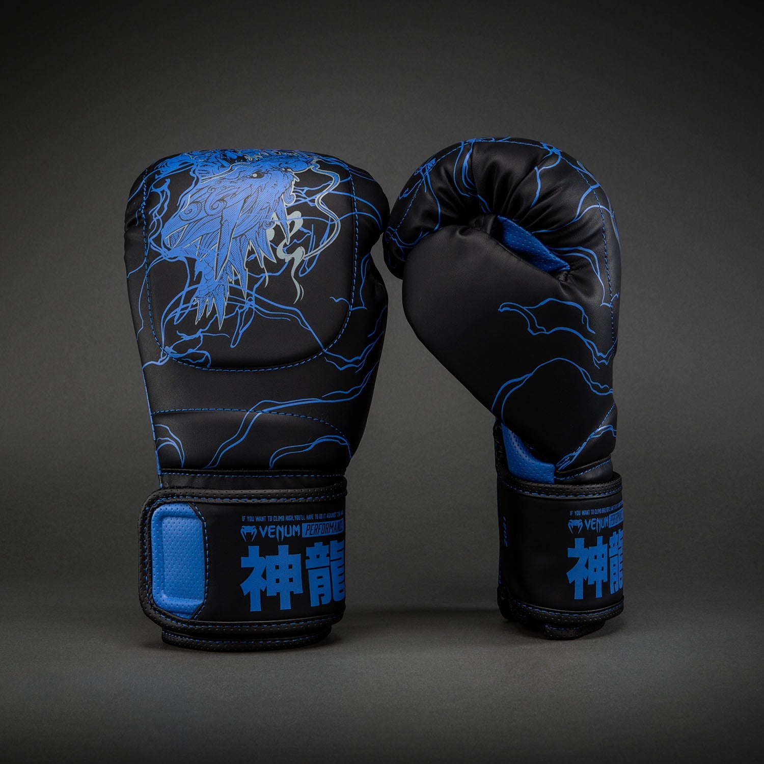 Venum Thunder Dragon Boxing Gloves