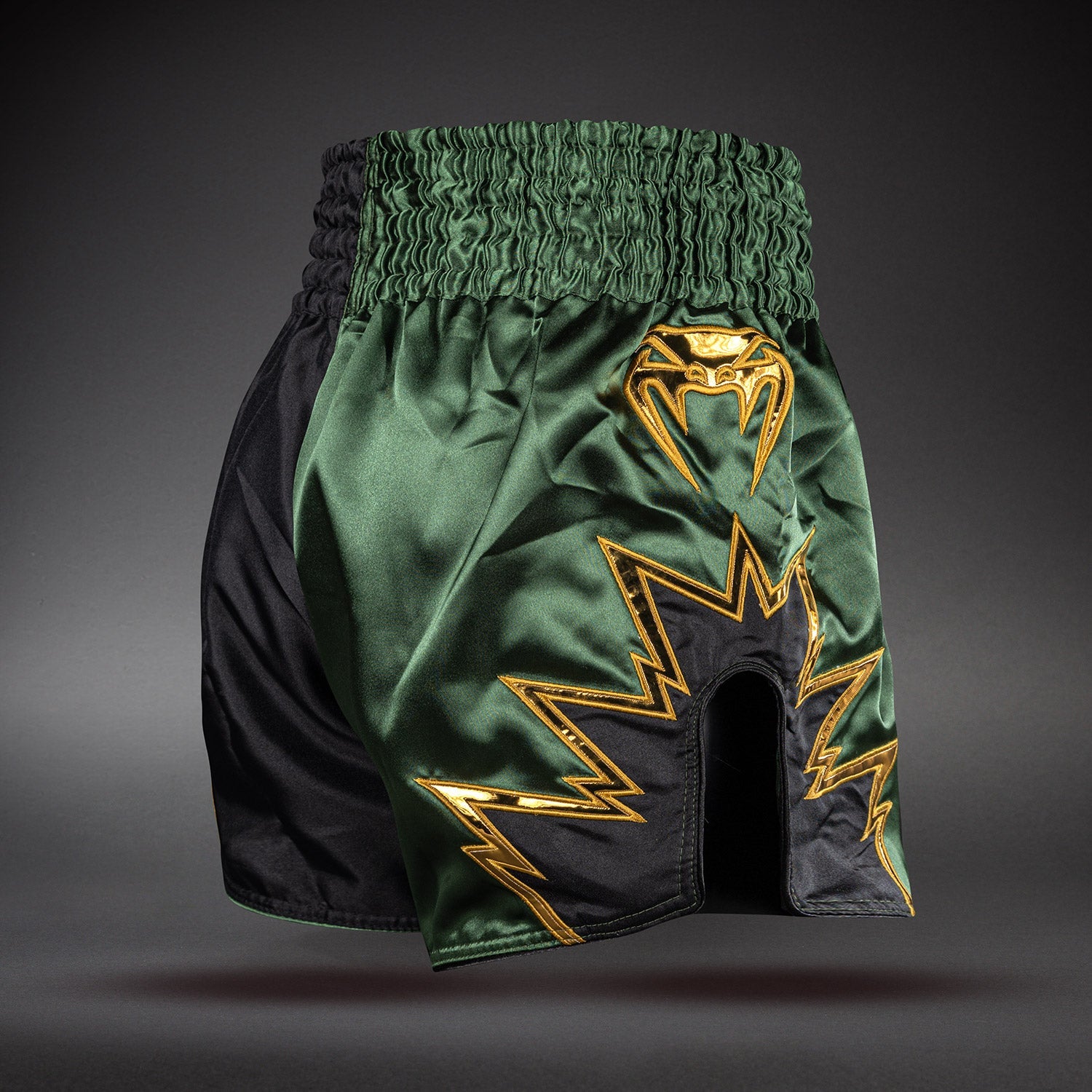 Venum Inferno 2.0 Muay Thai Shorts