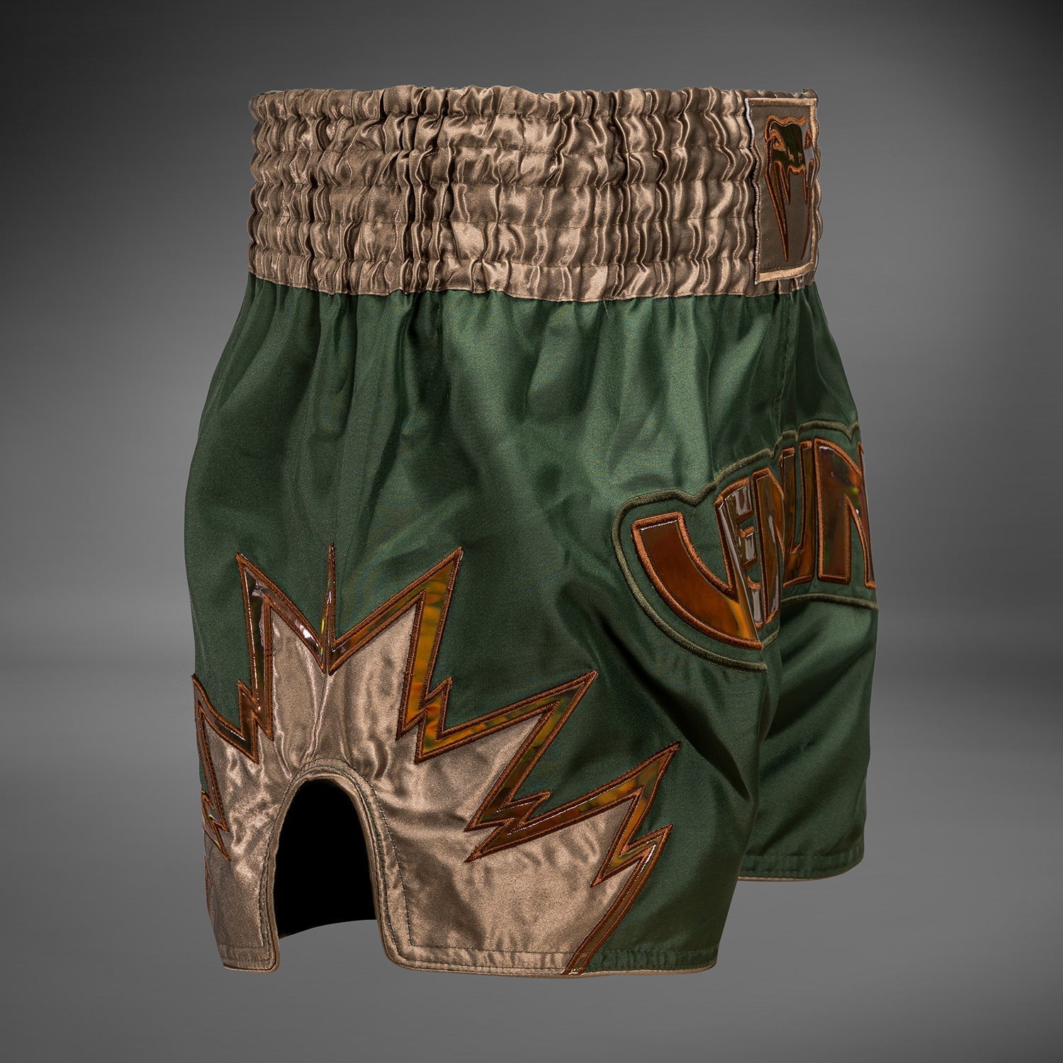 Venum Inferno Muay Thai Shorts
