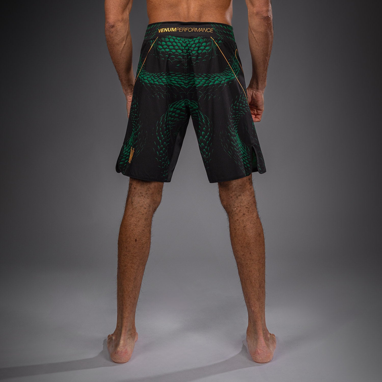 Venum Matupa Fightshorts
