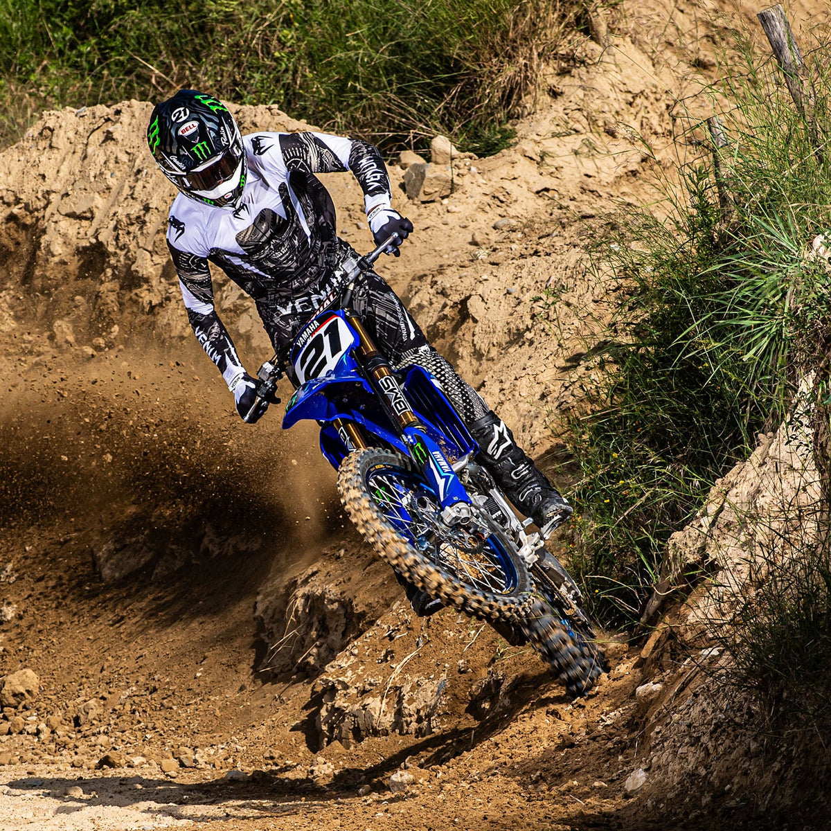 Venum MX Elite Pants