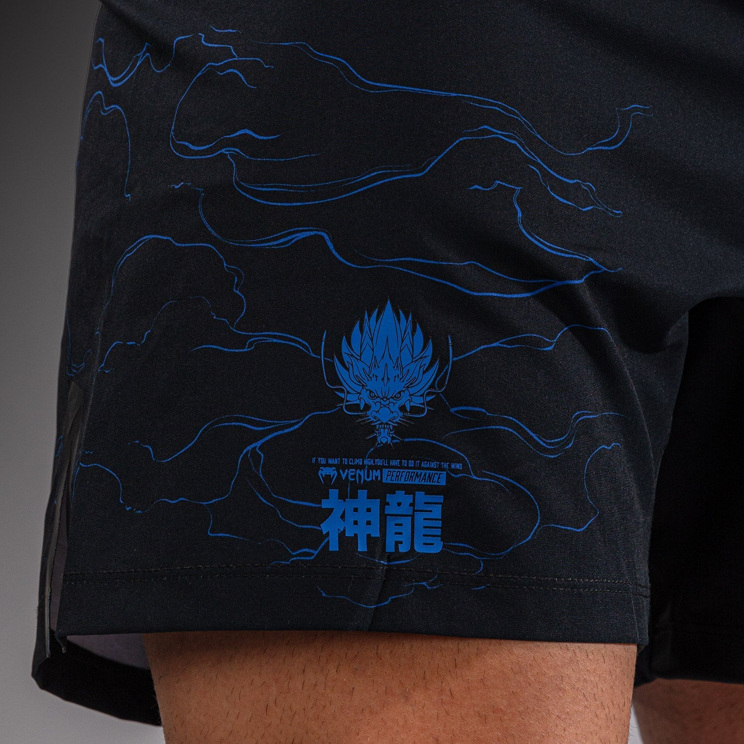Venum Thunder Dragon Fightshorts