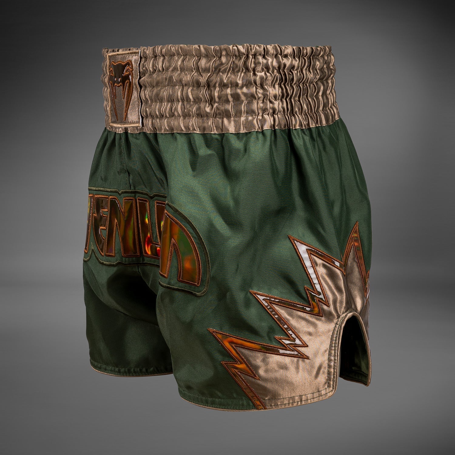 Venum Inferno Muay Thai Shorts