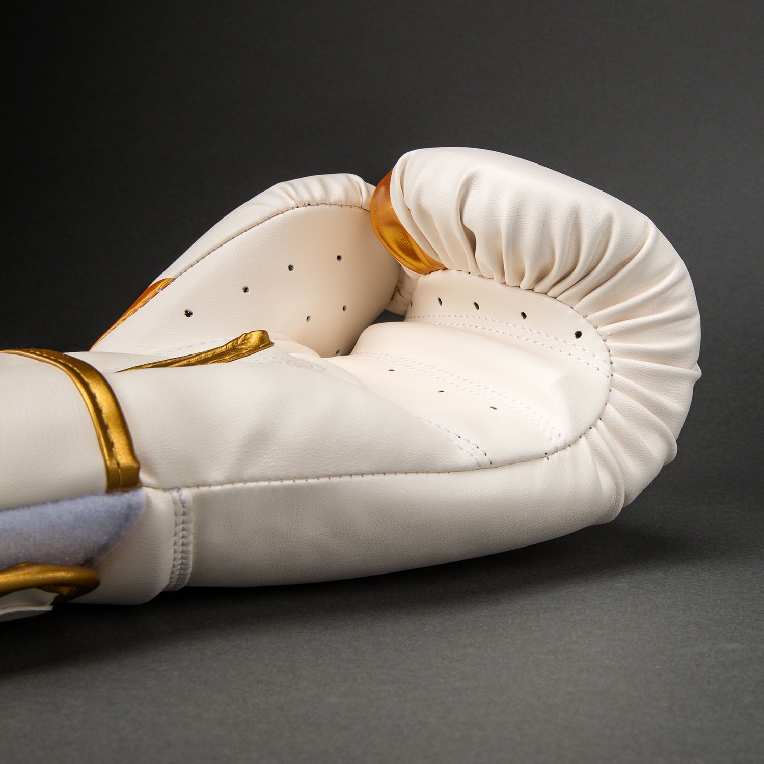 Venum Challenger 2.5 Boxing Gloves