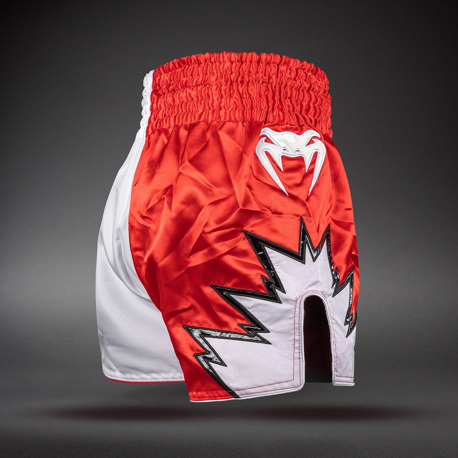 Venum Inferno 2.0 Muay Thai Shorts