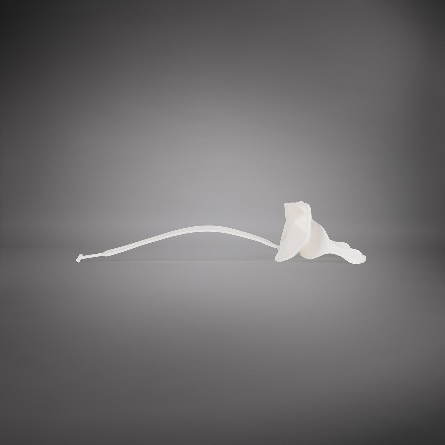 Venum Elite Lipguard OG Edition