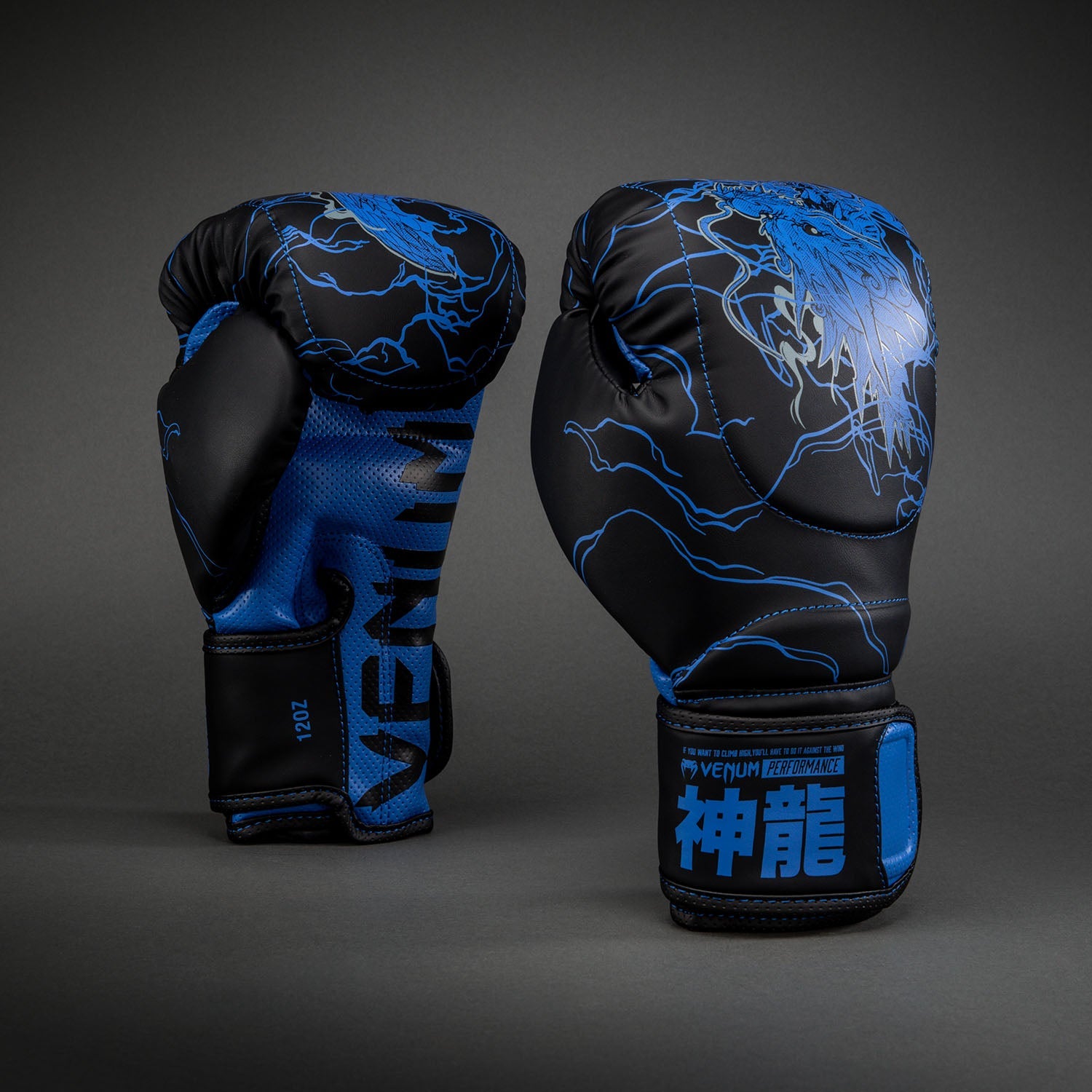 Venum Thunder Dragon Boxing Gloves