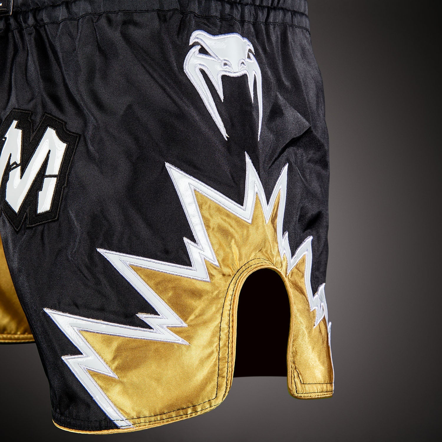 Venum Inferno 2.0 Muay Thai Shorts