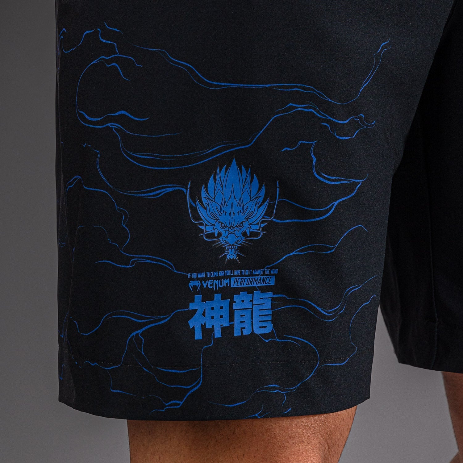 Venum Thunder Dragon Training Shorts