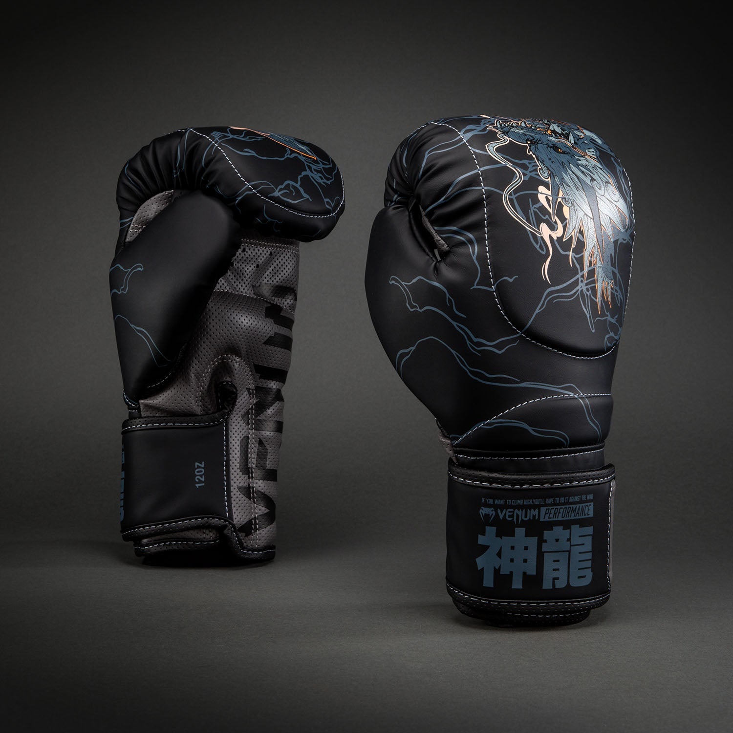 Venum Thunder Dragon Boxing Gloves